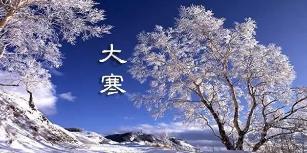 网飞弃剧
